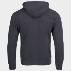 Сив суитшърт REMO